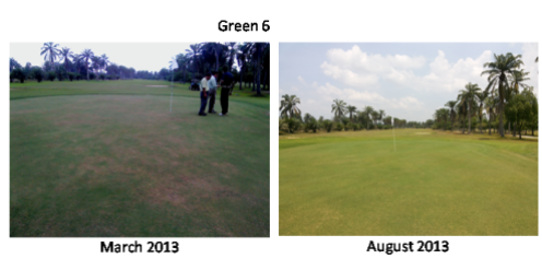 Not just these 3 greens; all greens in this client club show improvement.
