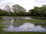 File pic: Flooded field.  Gambar hiasan.
